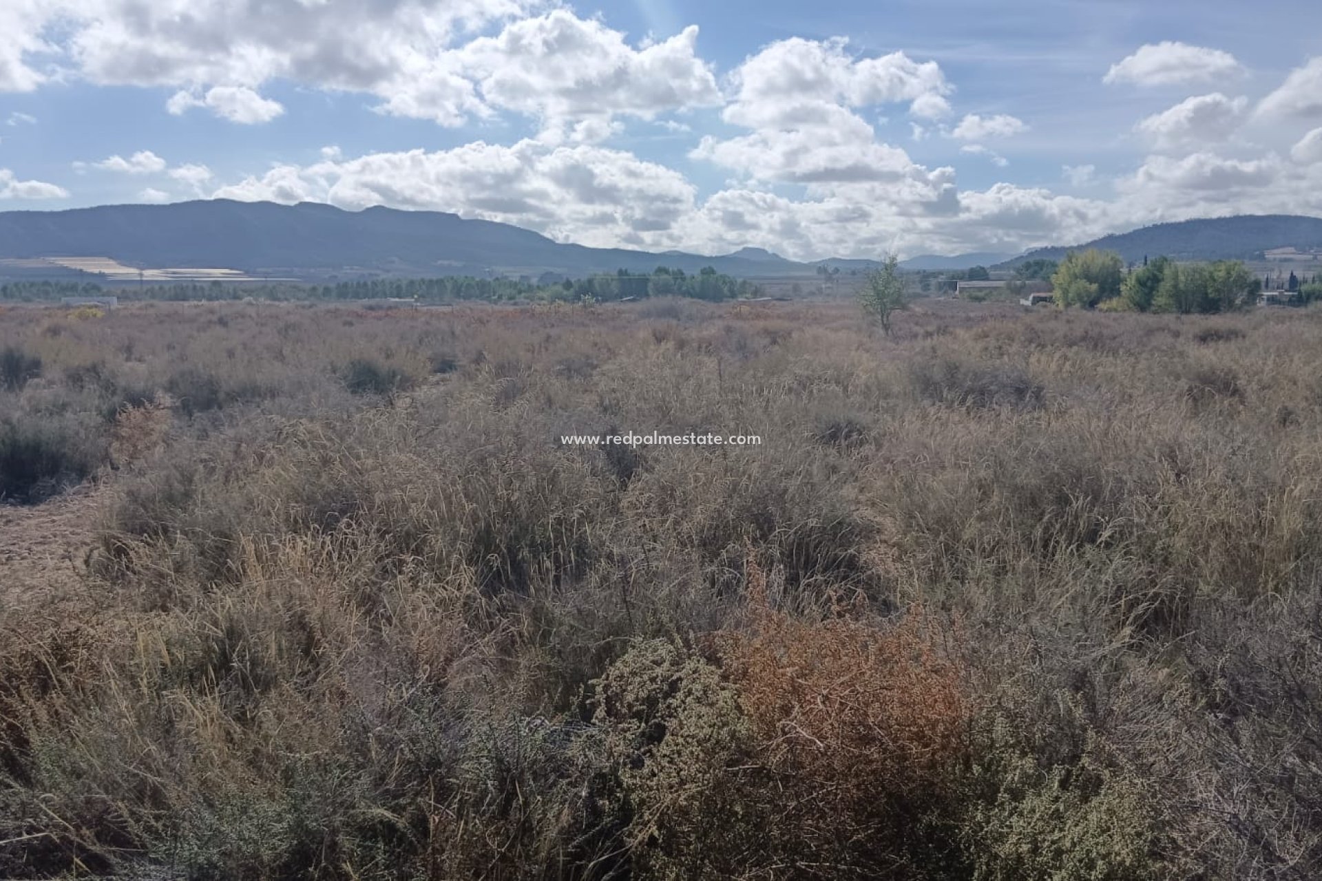 Revente - Parcelle -
Salinas - Inland