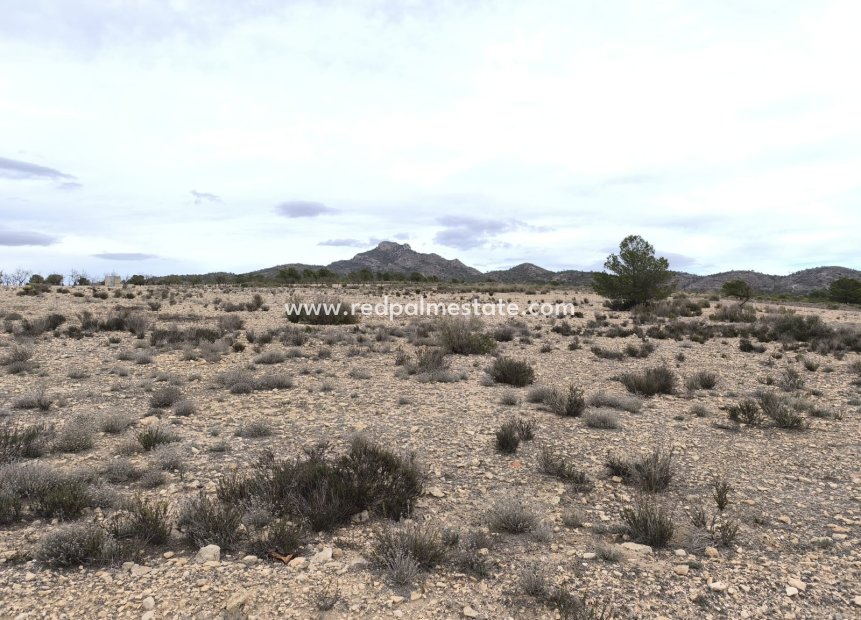 Revente - Parcelle -
Salinas - Inland