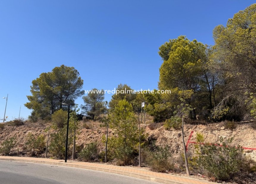 Revente - Parcelle -
Sierra Cortina - Inland