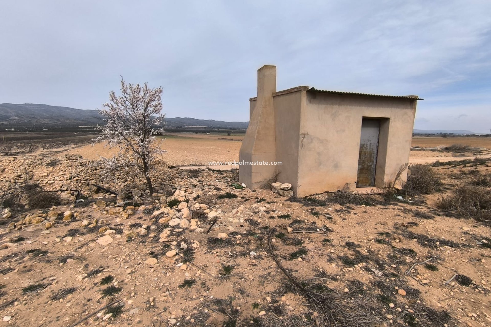 Revente - Parcelle -
Villena - Inland