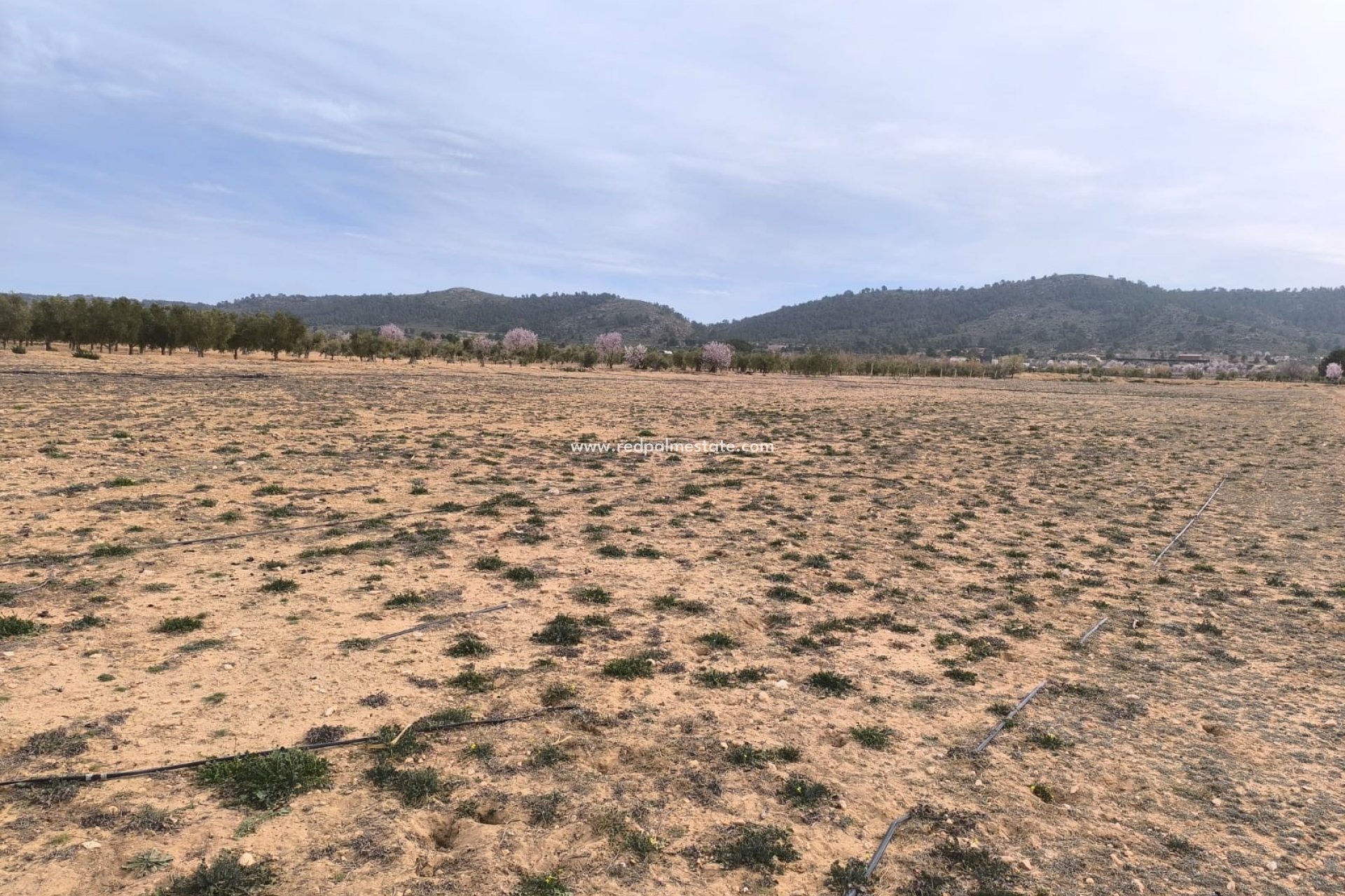 Revente - Parcelle -
Villena - Inland