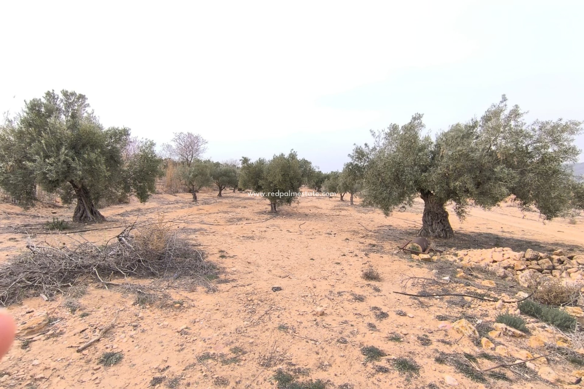 Revente - Parcelle -
Villena - Inland