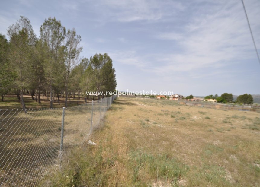 Revente - Parcelle -
Villena - Inland