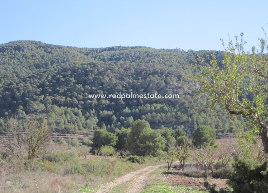 Revente - Parcelle -
Villena - Inland