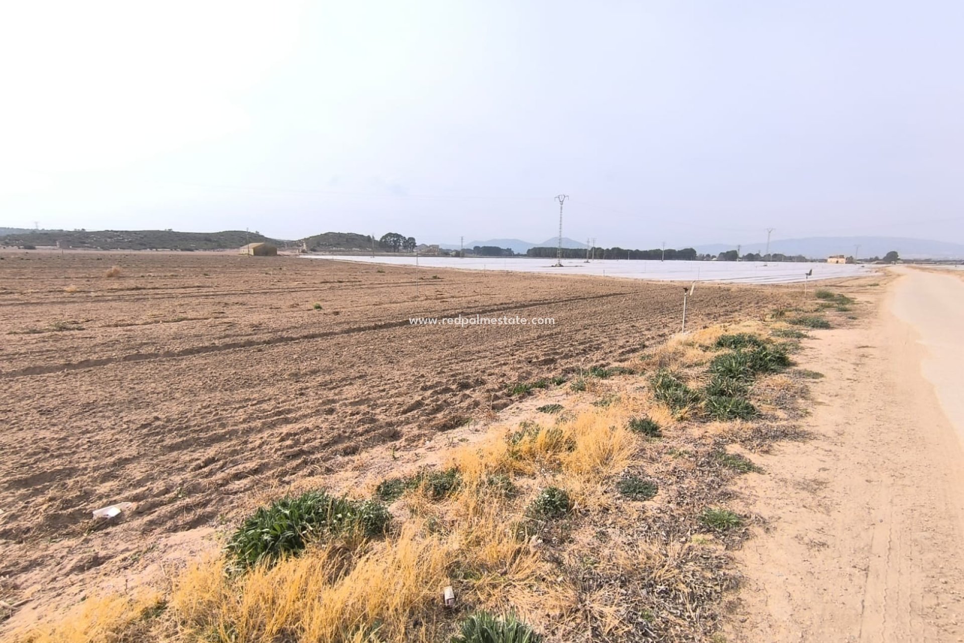 Revente - Parcelle -
Villena - Inland