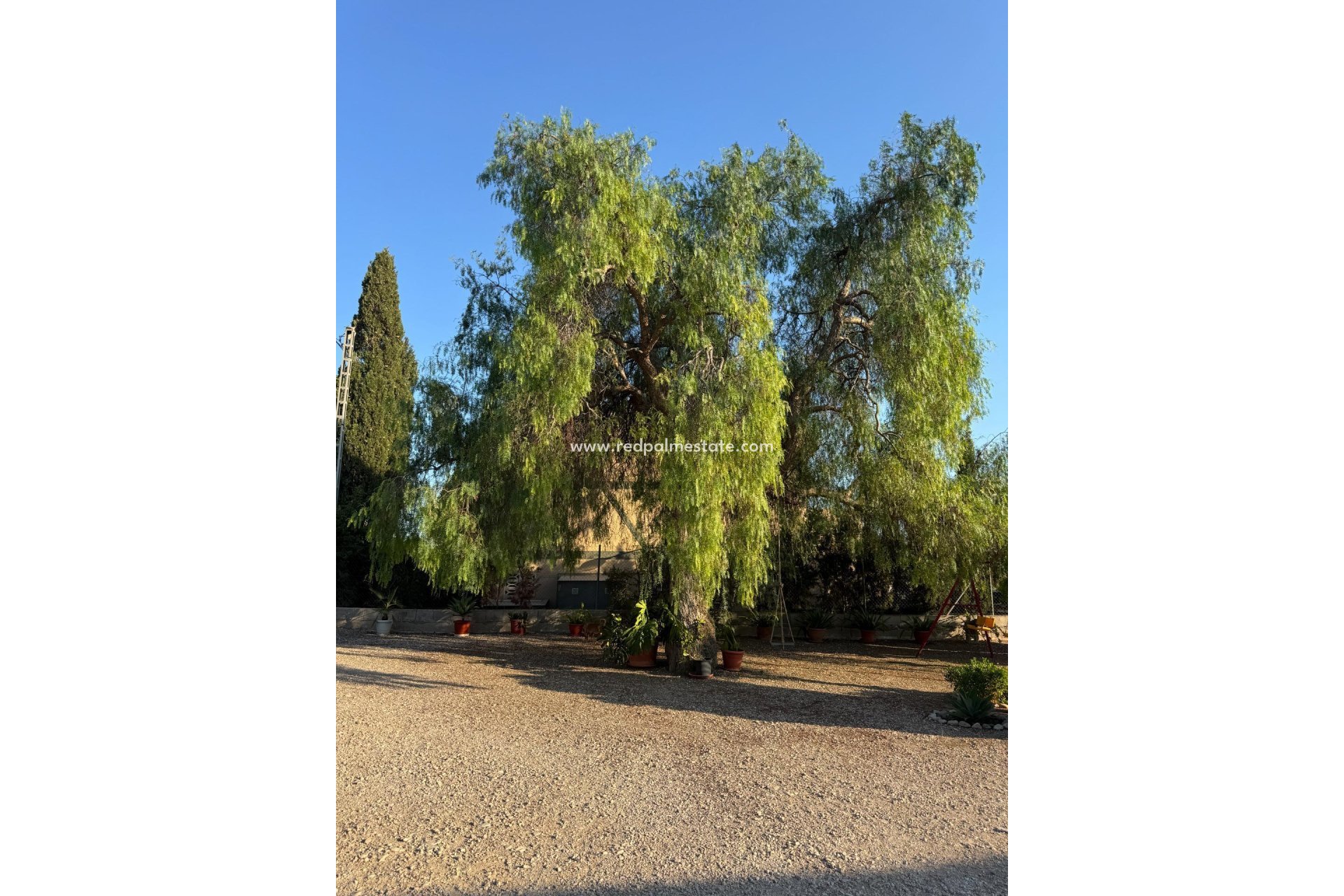 Revente - Villa -
Albatera - Partida Lomas