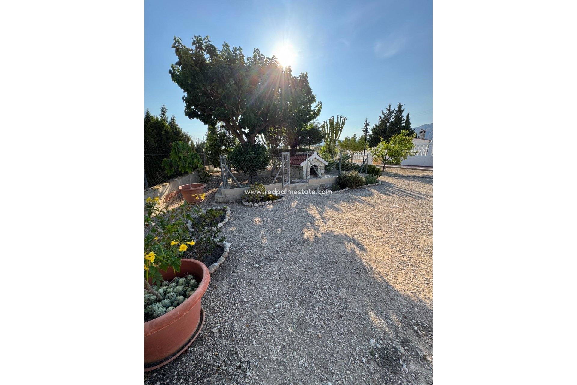 Revente - Villa -
Albatera - Partida Lomas