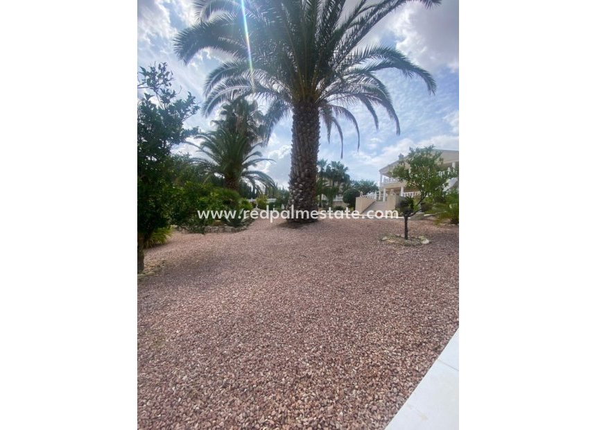 Revente - Villa -
Algorfa - Inland