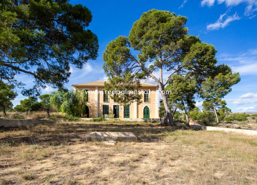 Revente - Villa -
Alicante