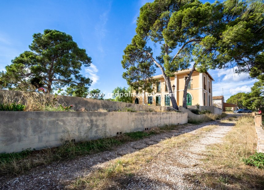 Revente - Villa -
Alicante