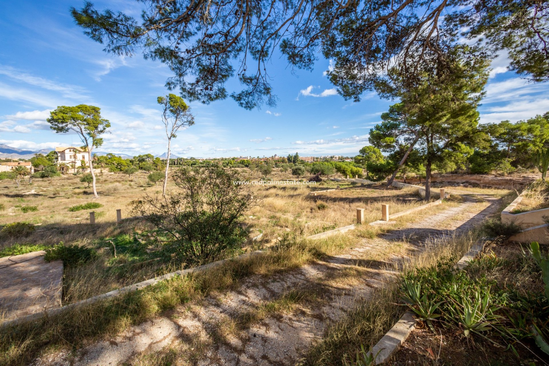 Revente - Villa -
Alicante