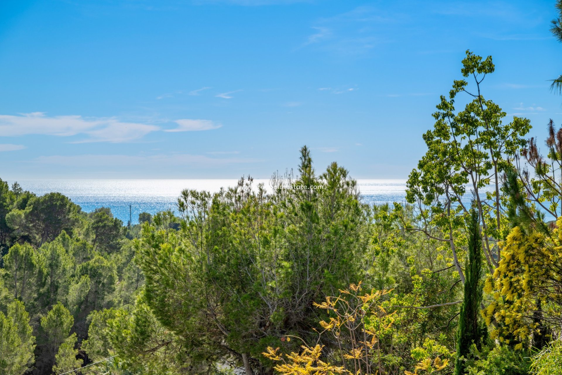 Revente - Villa -
Altea