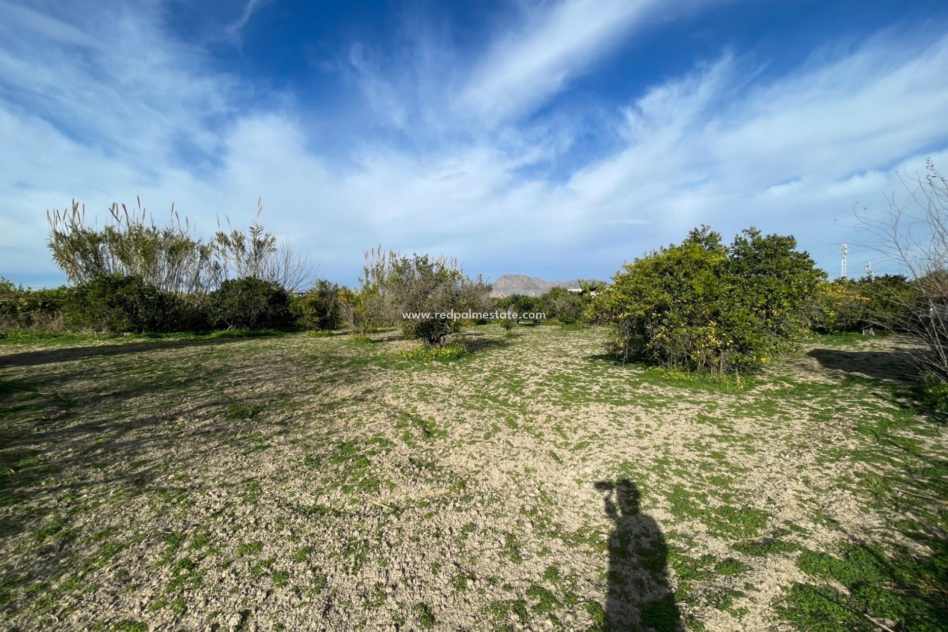 Revente - Villa -
Benejúzar - Inland