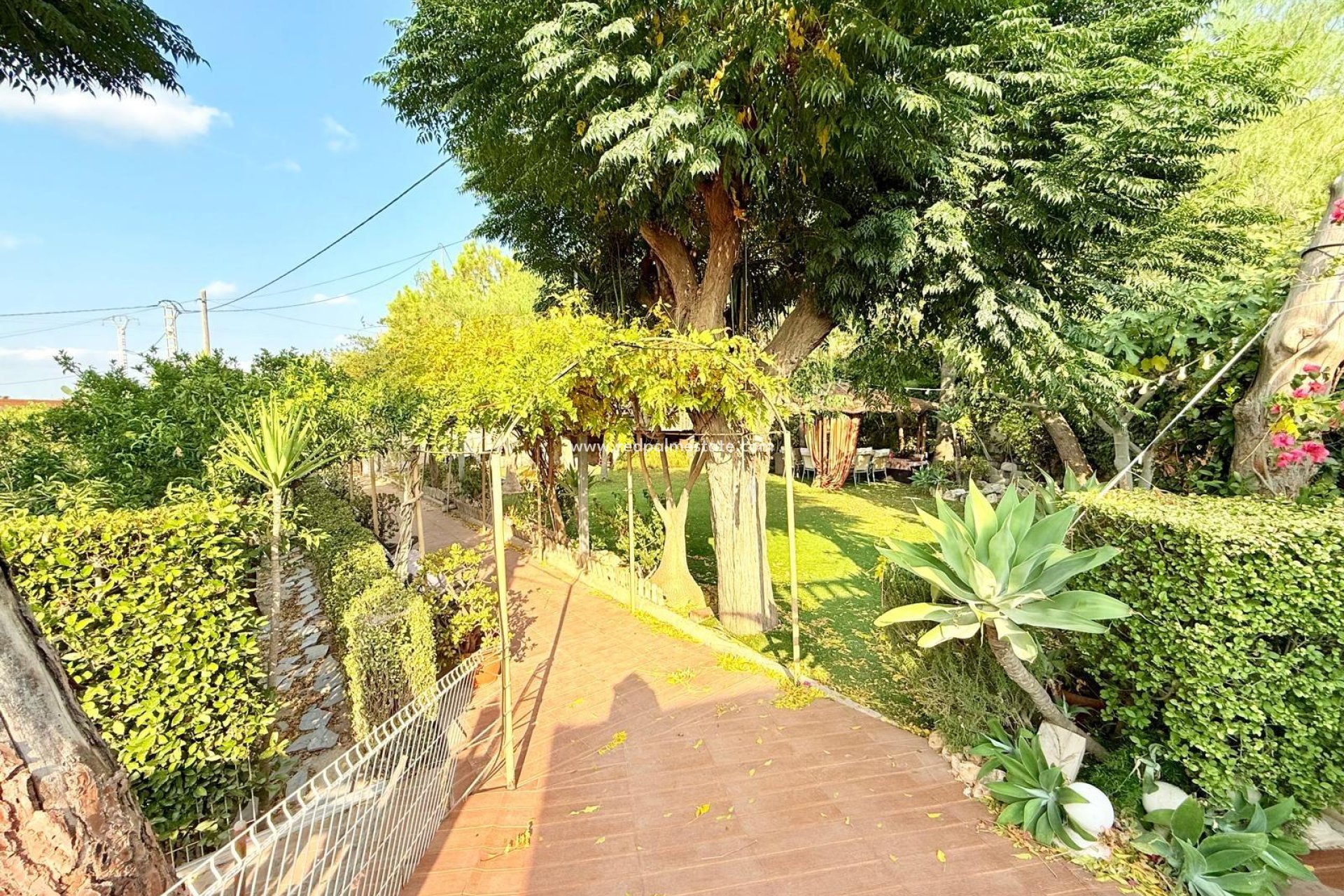 Revente - Villa -
Benferri