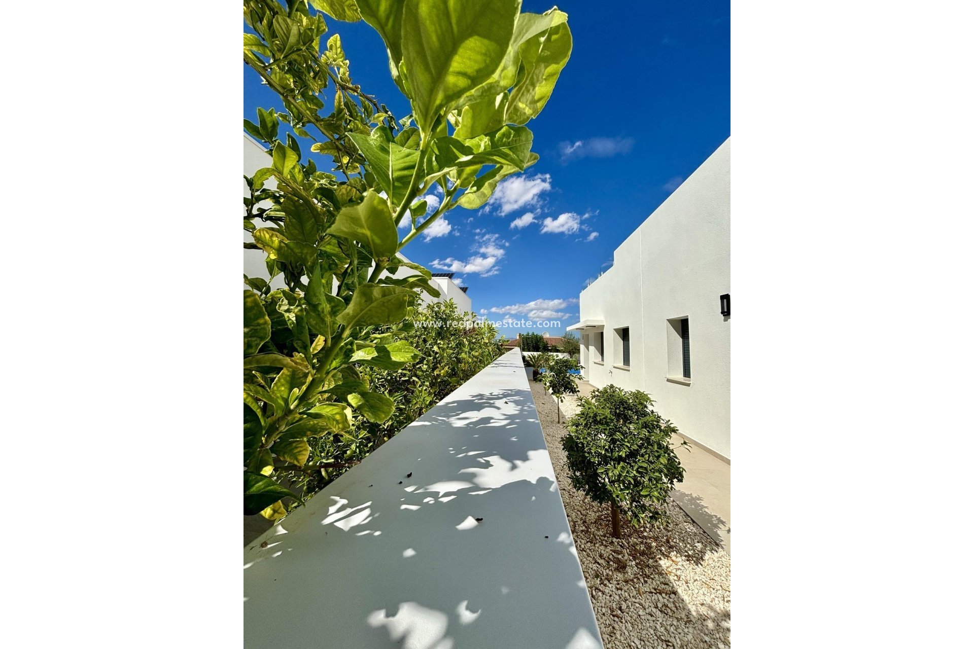 Revente - Villa -
Benijofar