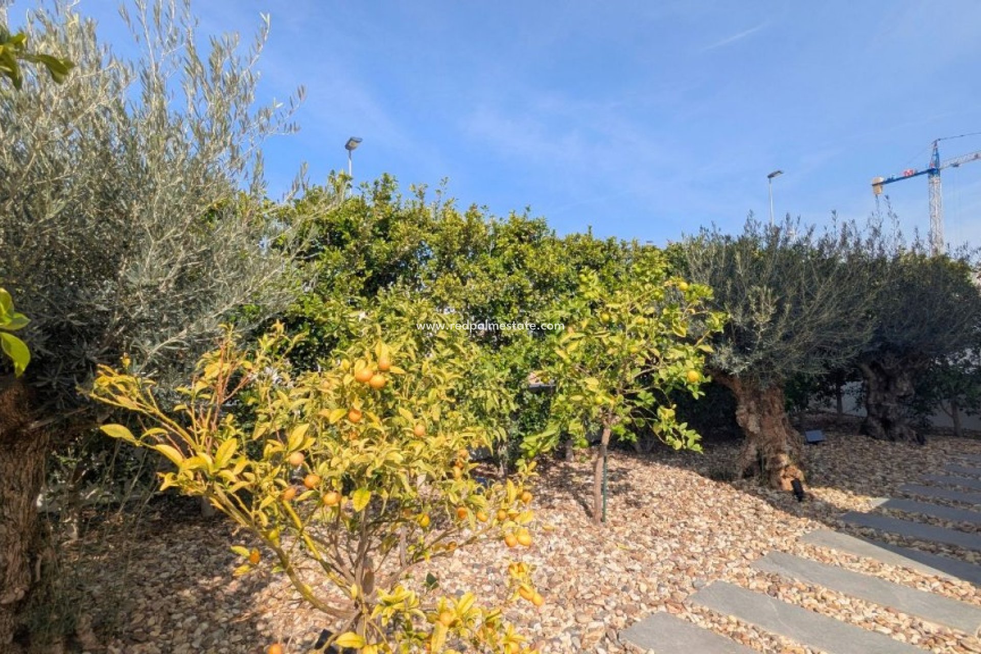 Revente - Villa -
Benijofar