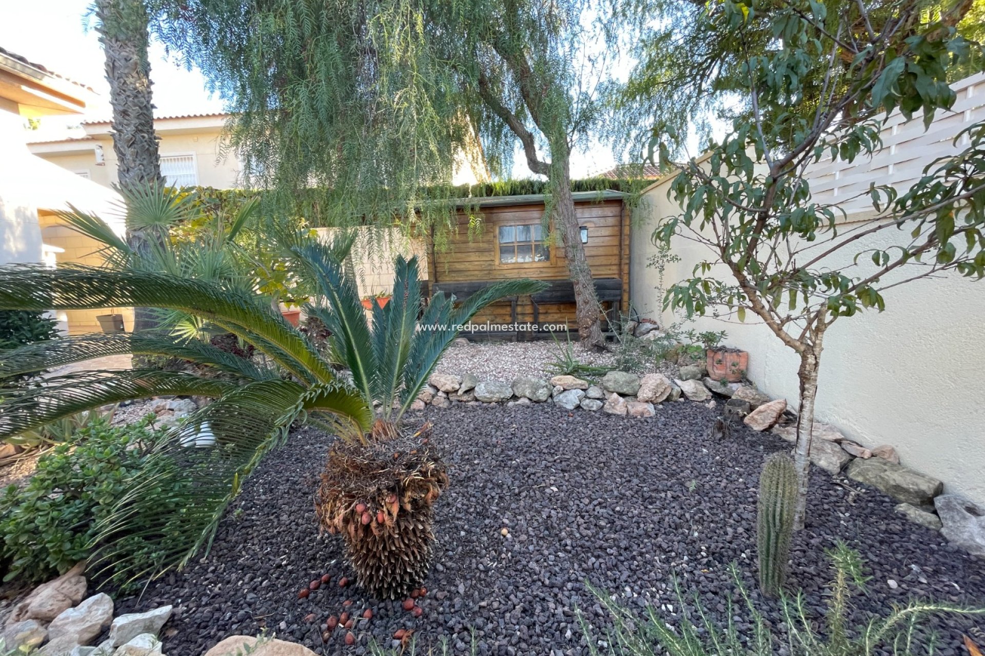 Revente - Villa -
Benijofar