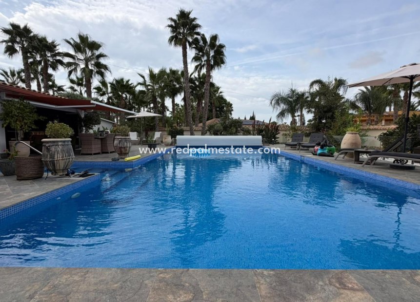 Revente - Villa -
Catral