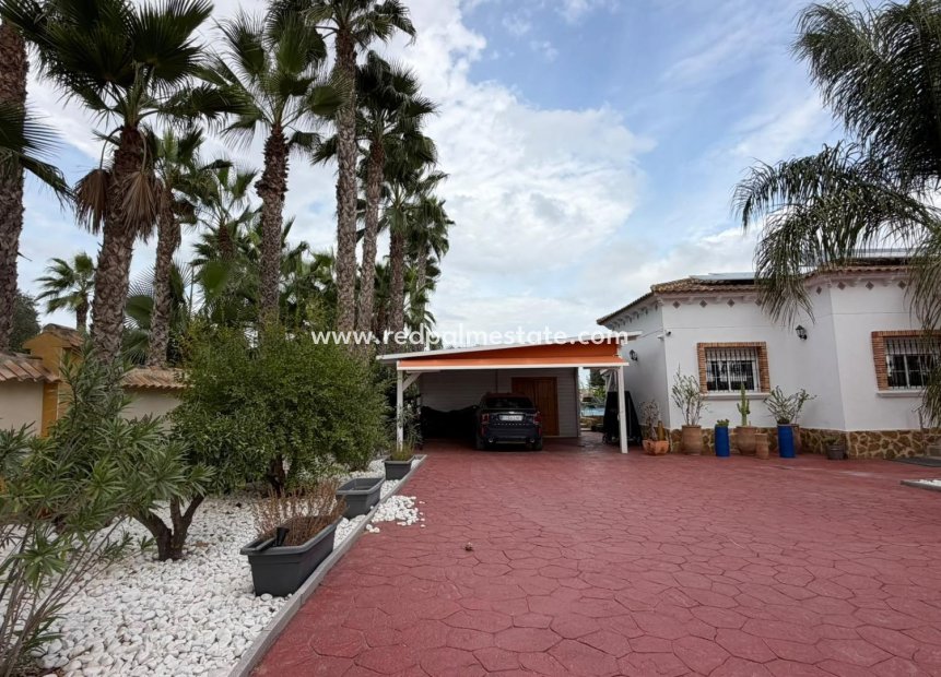 Revente - Villa -
Catral