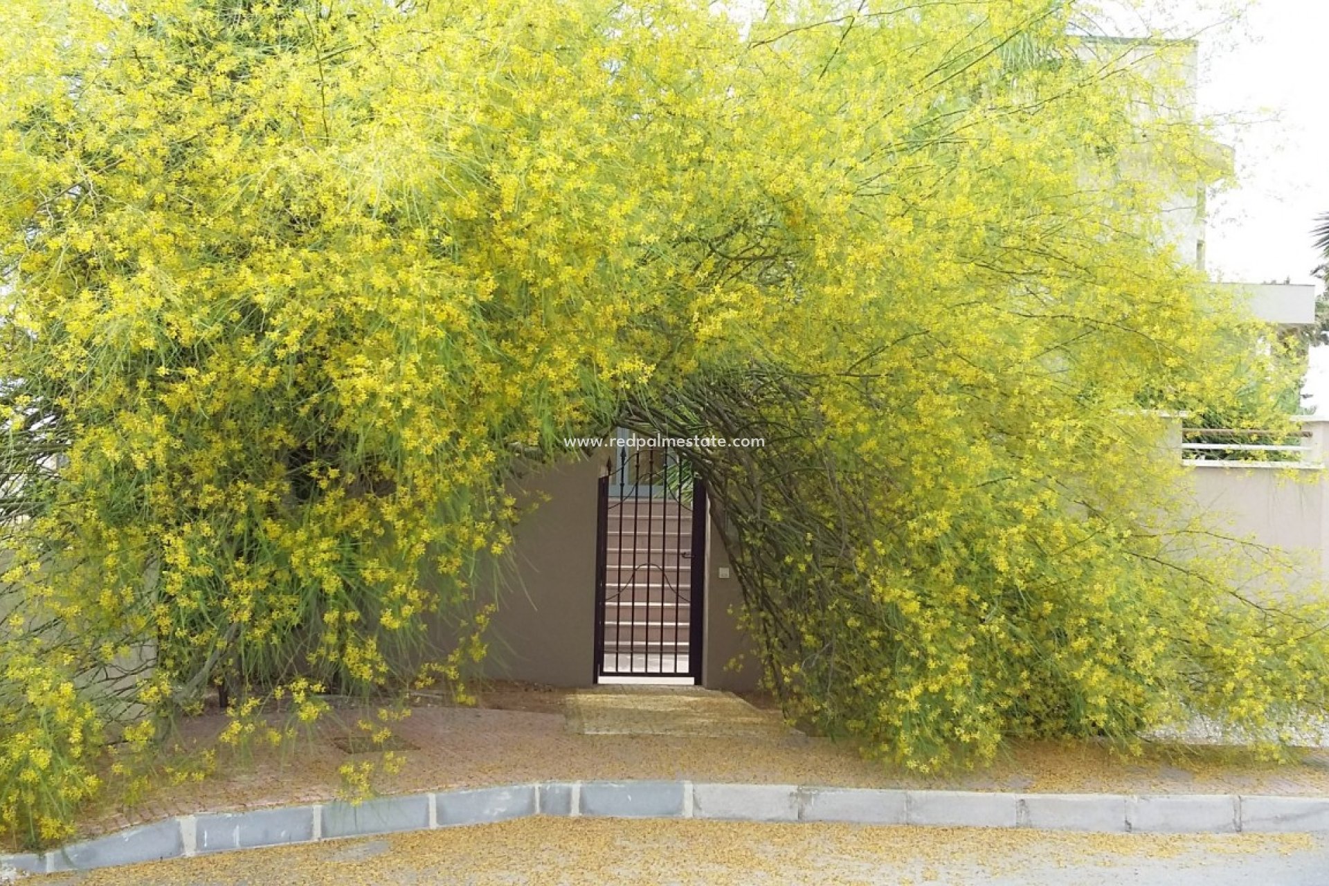 Revente - Villa -
Ciudad Quesada/Rojales - Ciudad Quesada