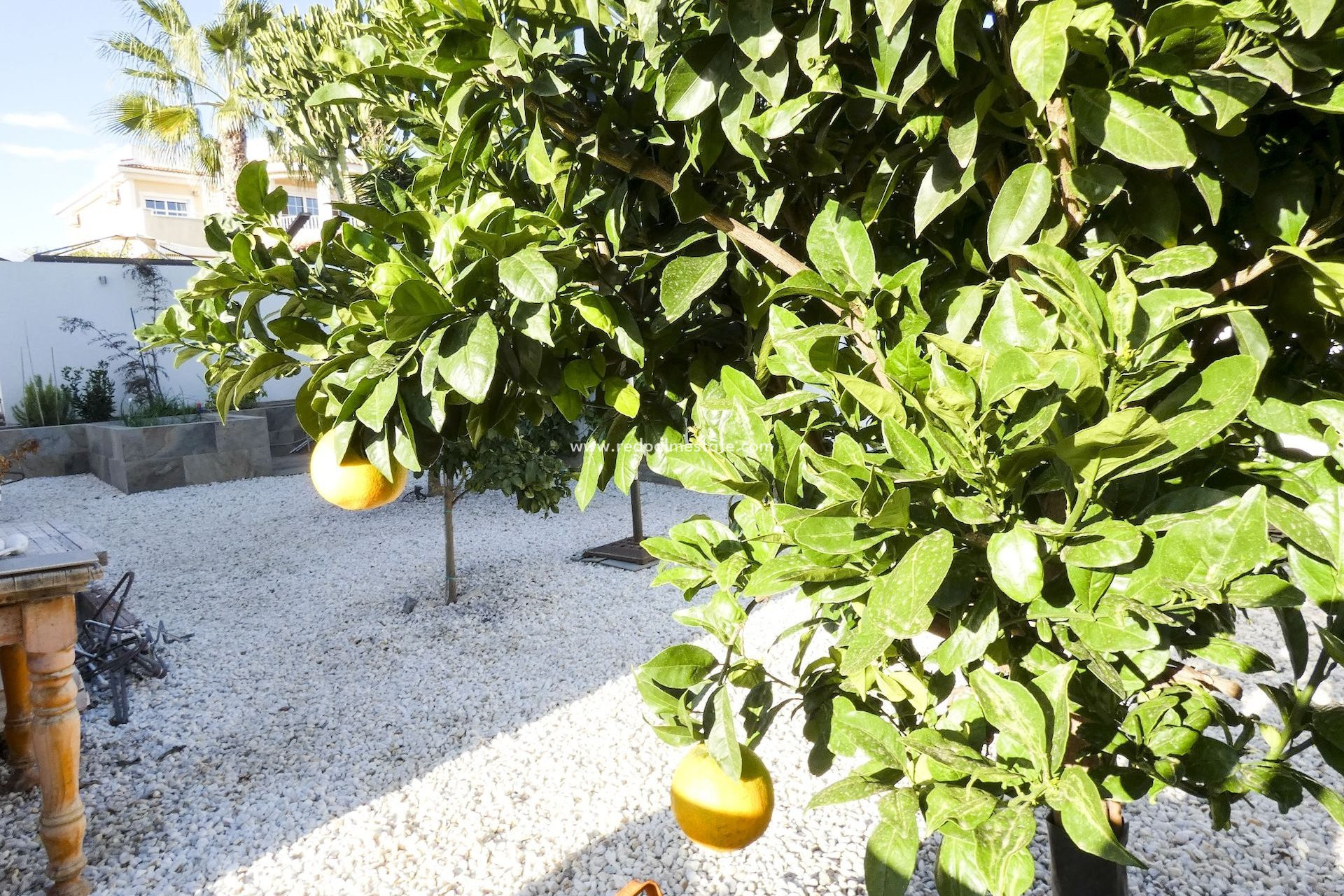 Revente - Villa -
Ciudad Quesada/Rojales - Ciudad Quesada