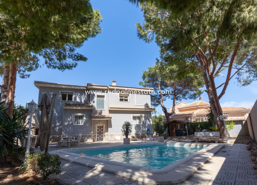 Revente - Villa -
Ciudad Quesada/Rojales - Pueblo bravo