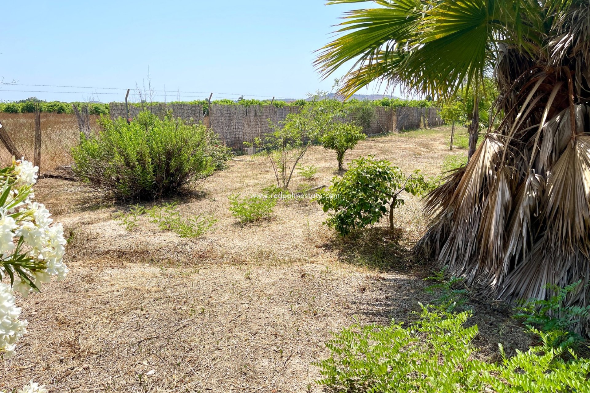 Revente - Villa -
Daya Nueva - Costa Blanca