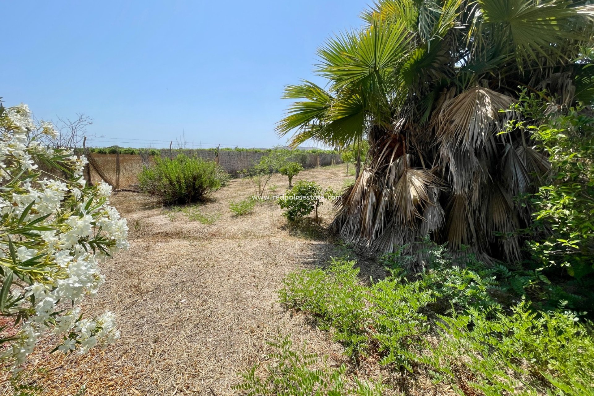 Revente - Villa -
Daya Nueva - Costa Blanca