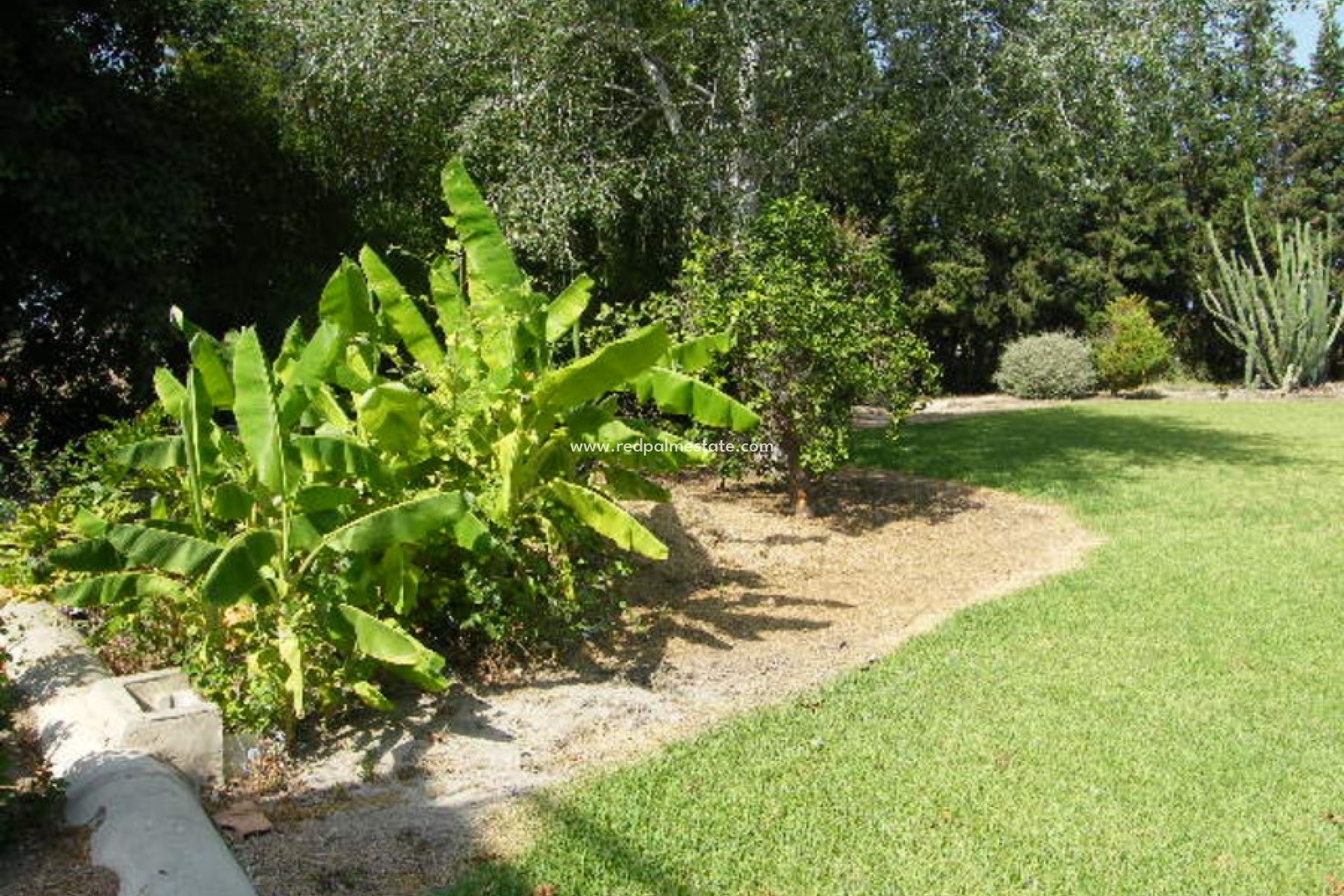 Revente - Villa -
Daya Nueva - Costa Blanca