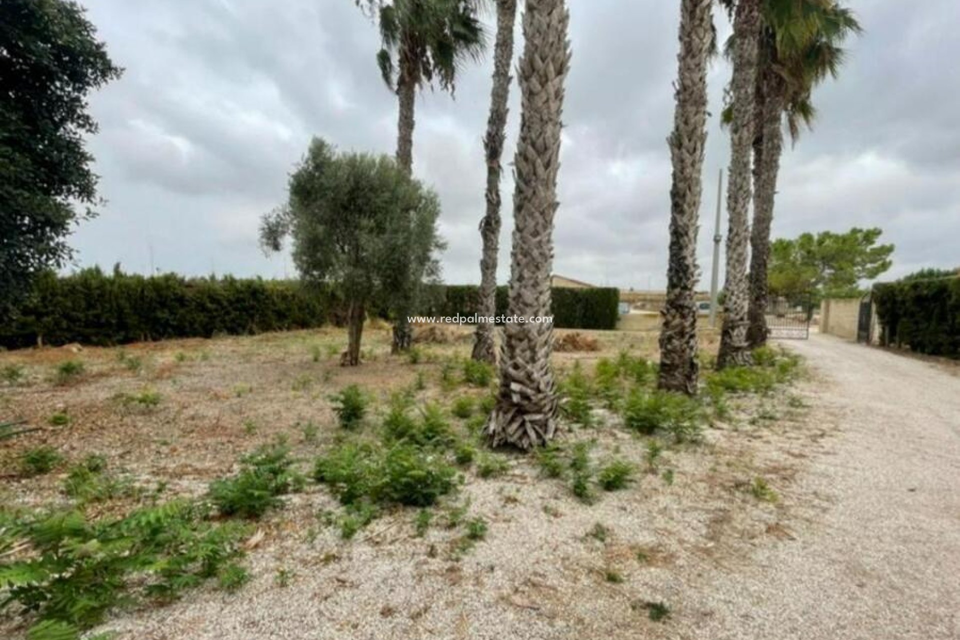 Revente - Villa -
Daya Vieja - Costa Blanca