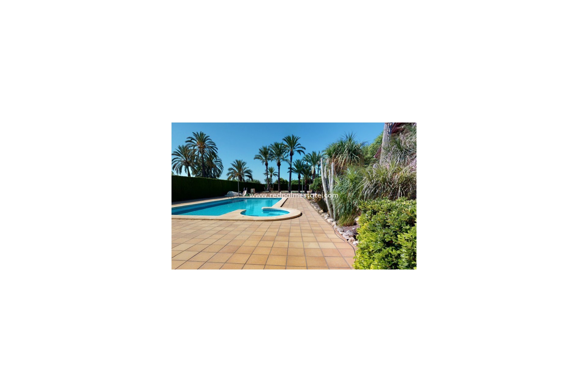 Revente - Villa -
Elche - Costa Blanca