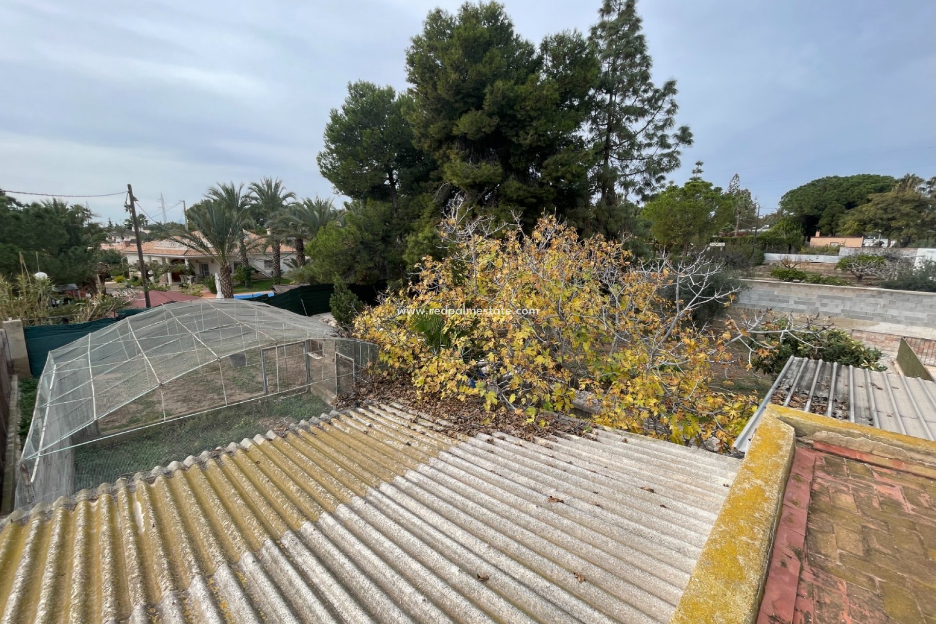 Revente - Villa -
Elche - Costa Blanca