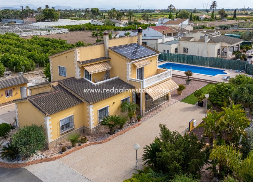 Revente - Villa -
Elche - Costa Blanca