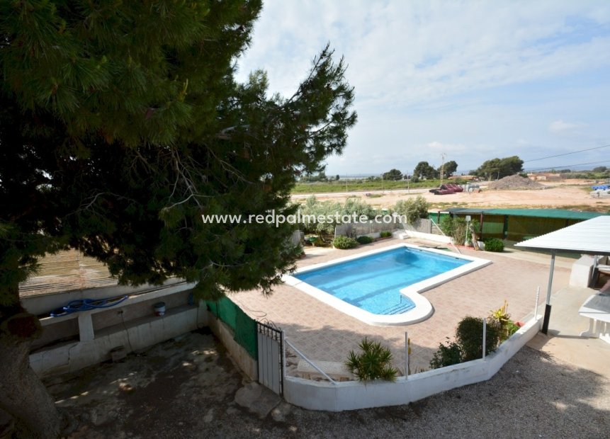 Revente - Villa -
Guardamar del Segura - Guardamar