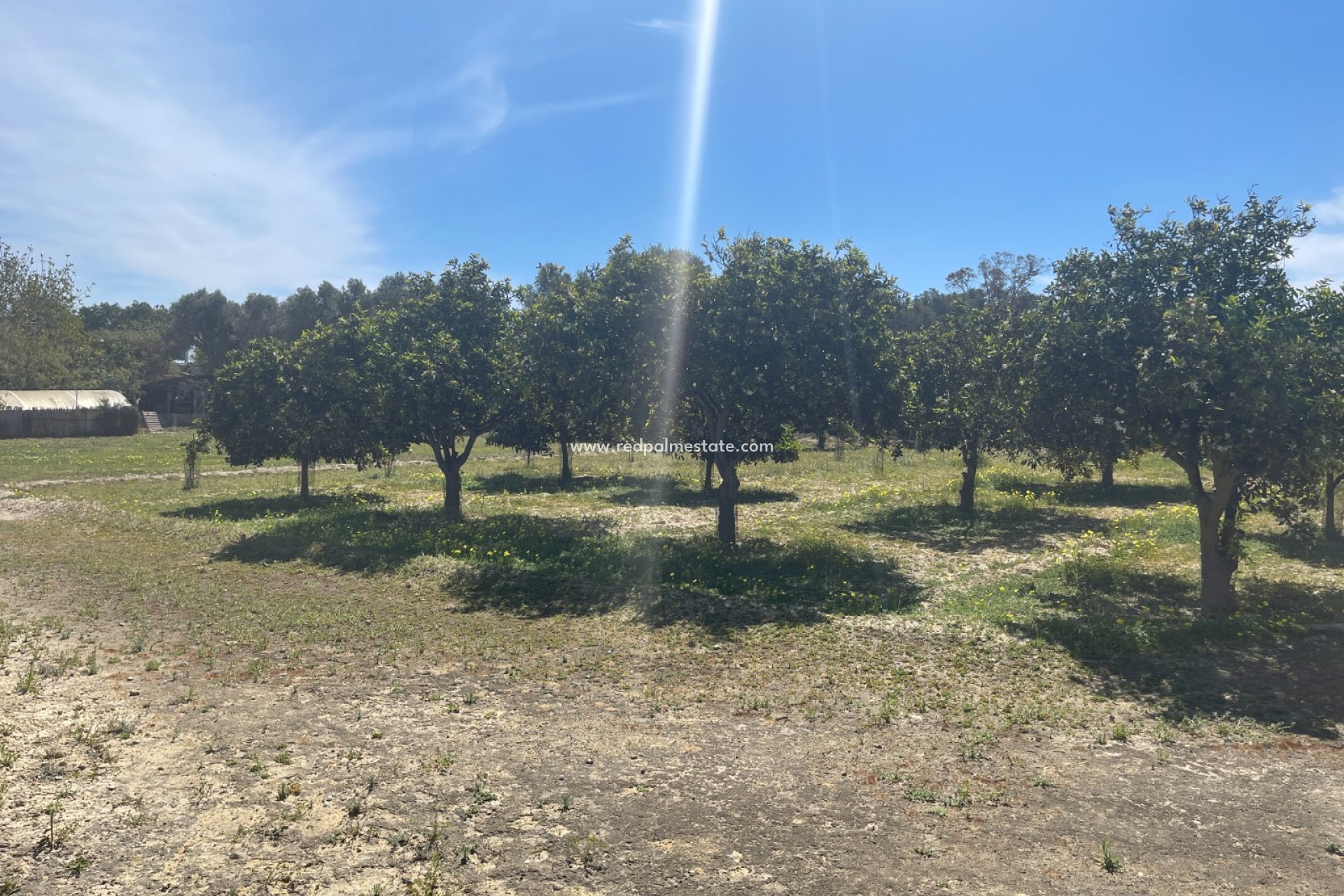 Revente - Villa -
Guardamar del Segura - Guardamar