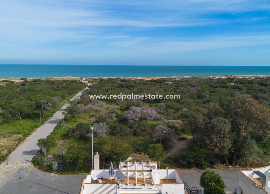 Revente - Villa -
Guardamar del Segura - Urbanizaciones