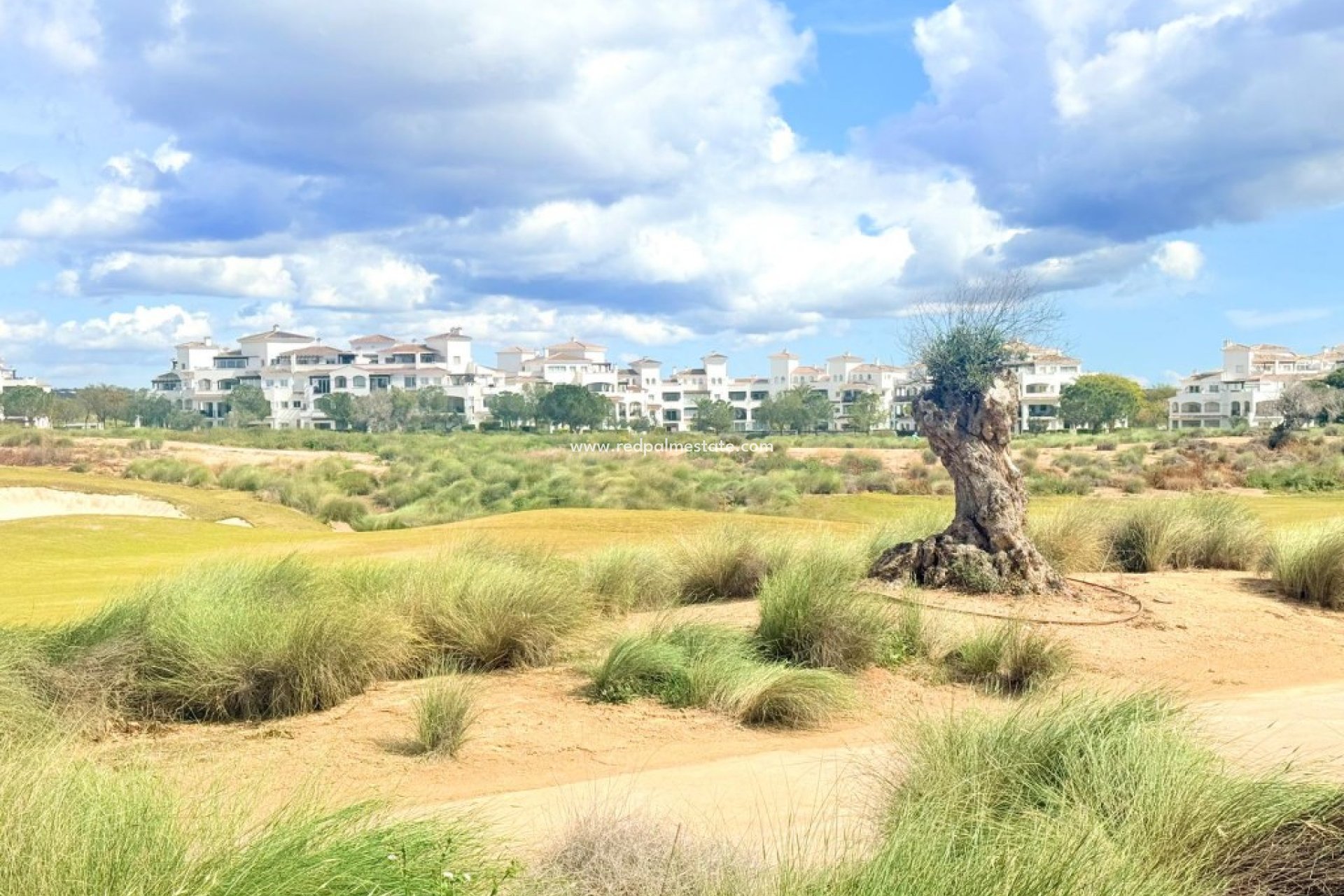 Revente - Villa -
Hacienda Riquelme Golf Resort - Inland