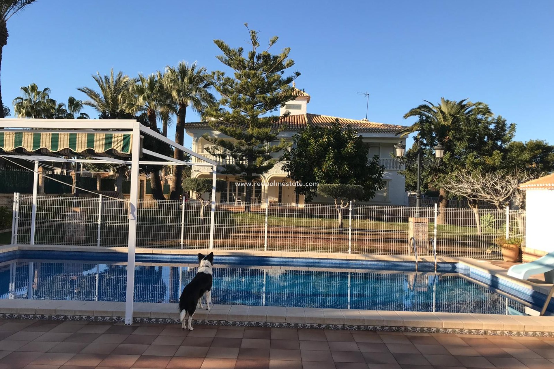 Revente - Villa Individuelle -
Orihuela Costa - Costa Blanca