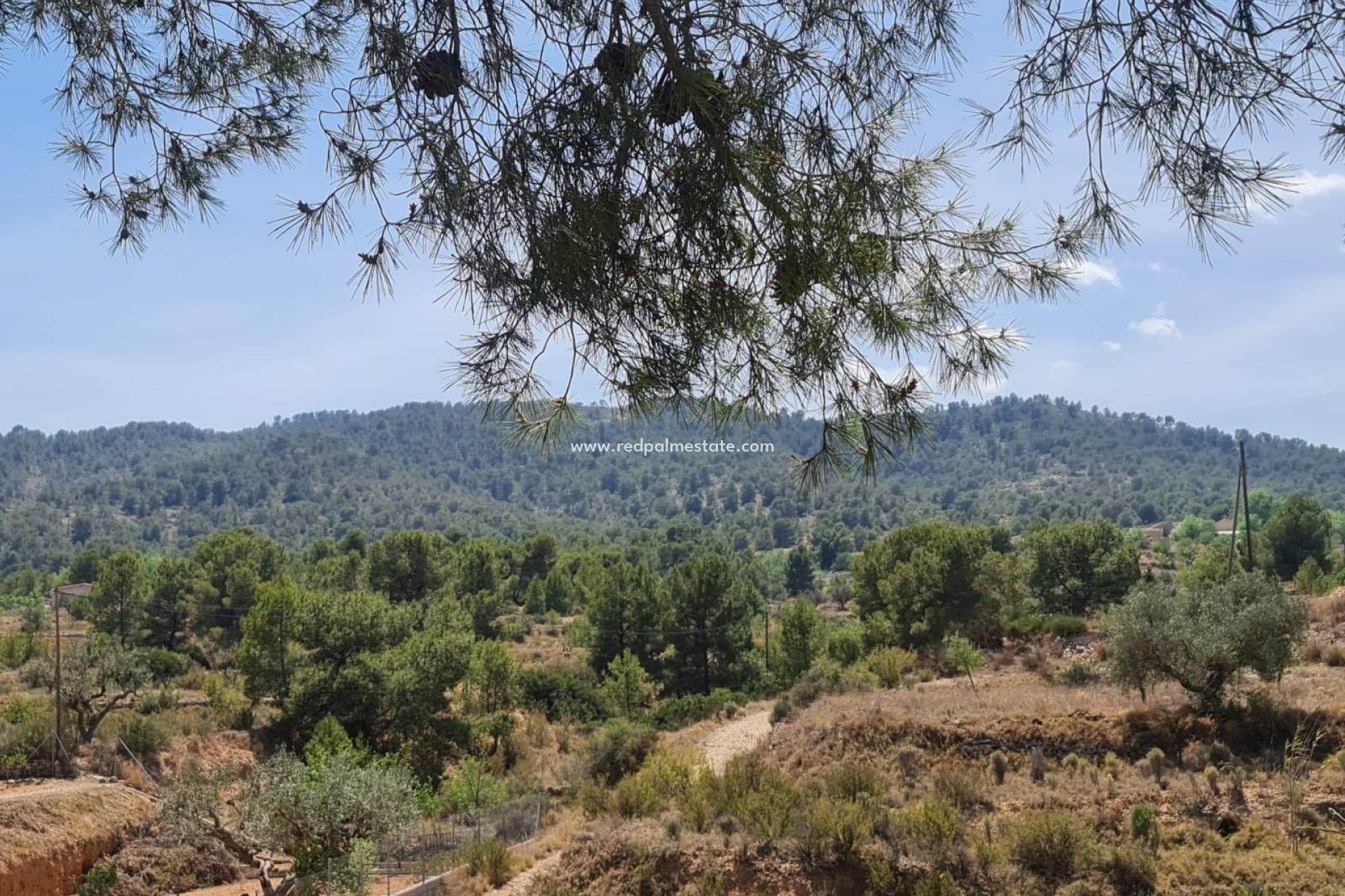 Revente - Villa -
Monóvar/Monóver - Inland
