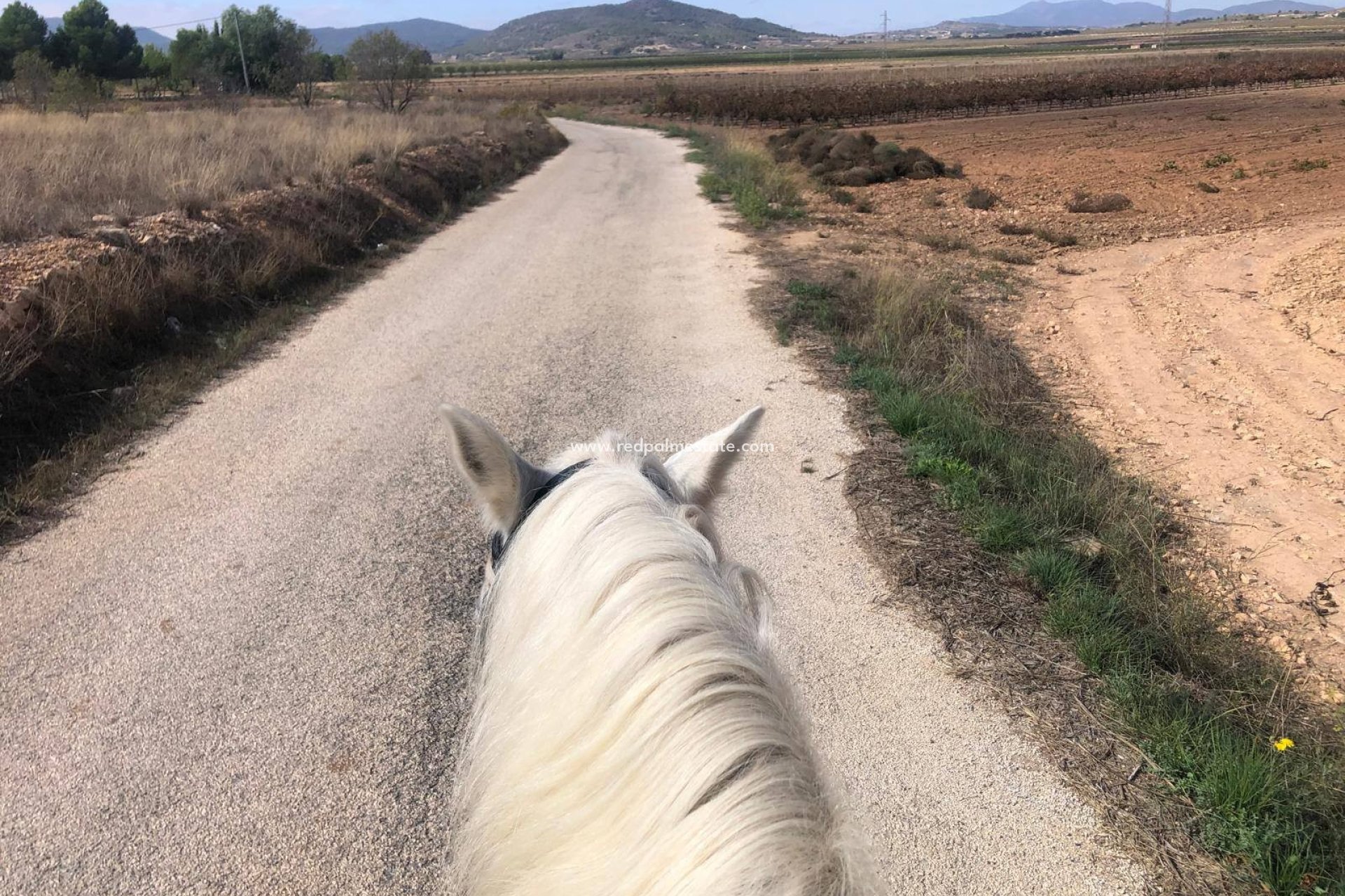 Revente - Villa -
Monóvar/Monóver - Inland