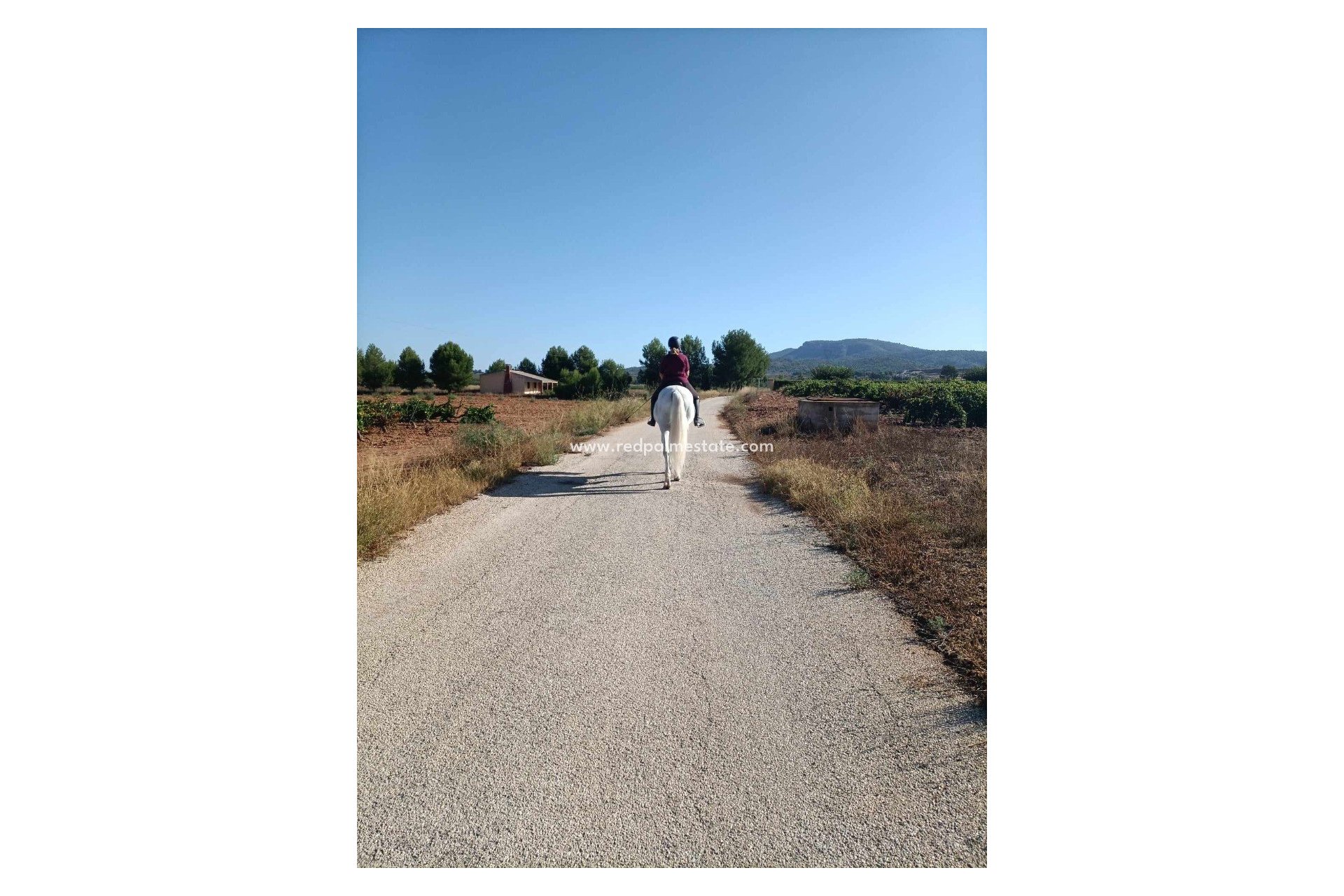 Revente - Villa -
Monóvar/Monóver - Inland