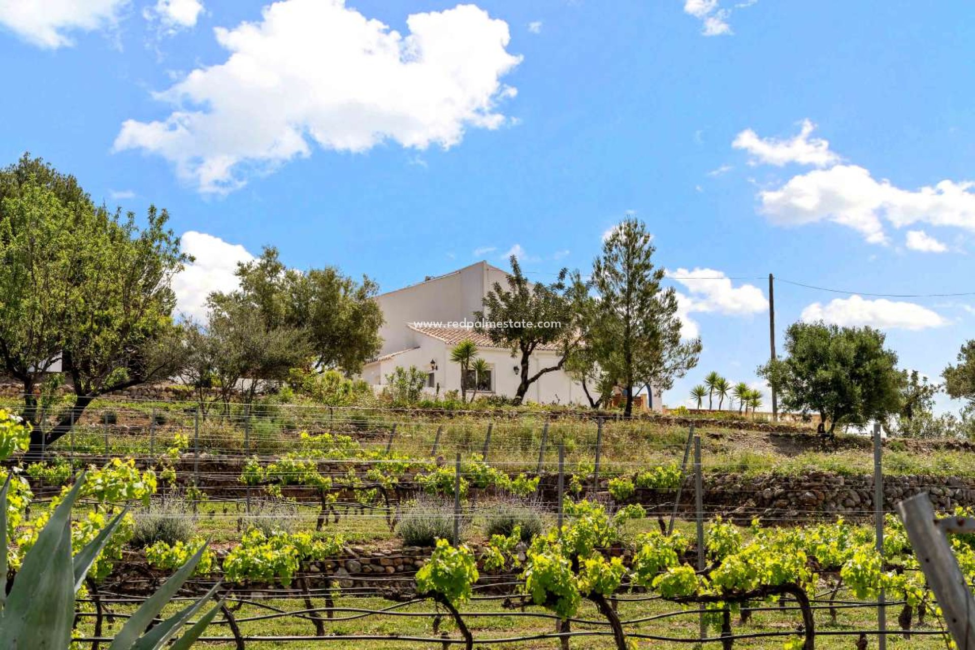 Revente - Villa -
Murla - Inland