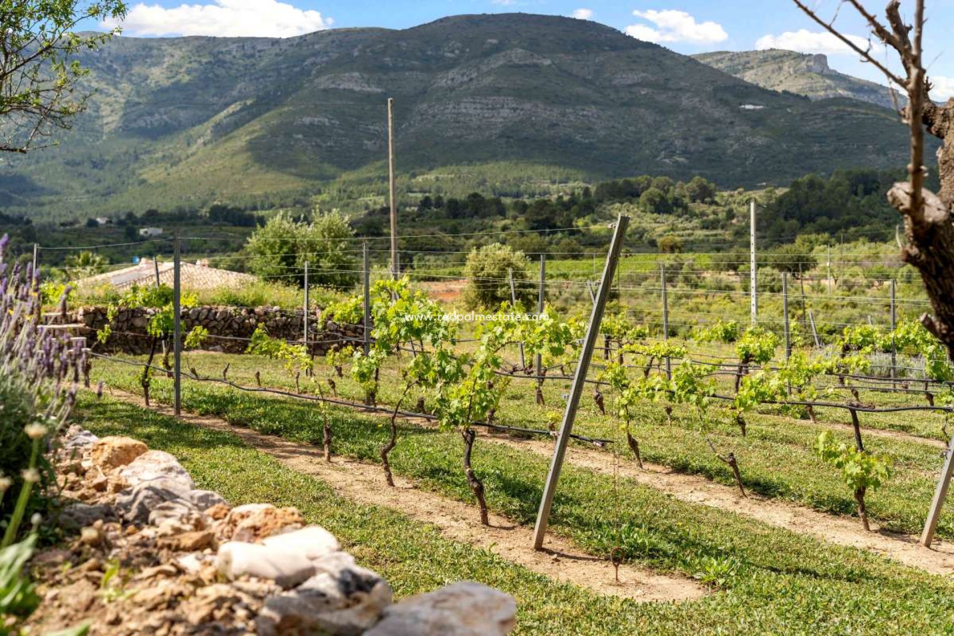 Revente - Villa -
Murla - Inland