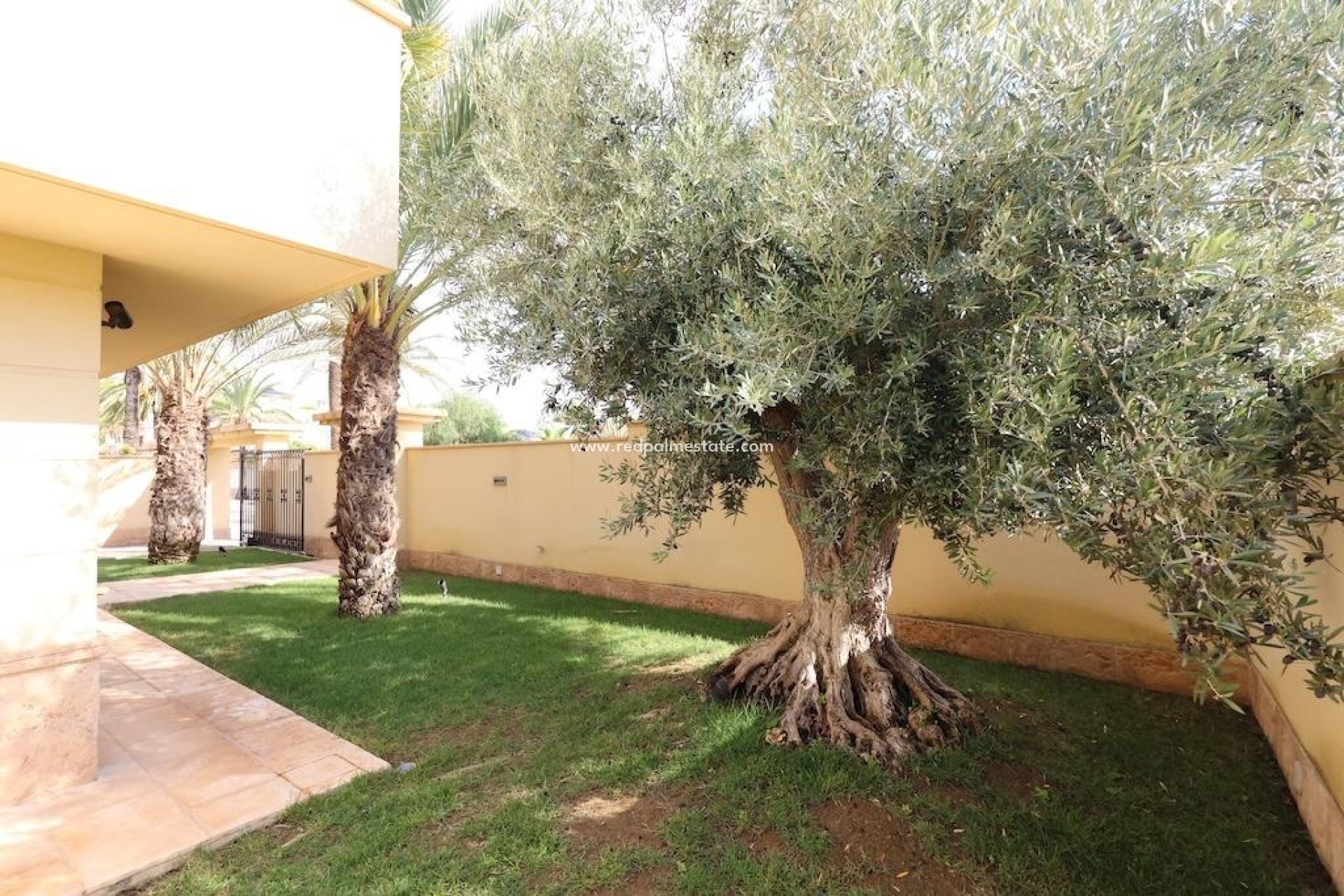 Revente - Villa -
Orihuela Costa - Costa Blanca