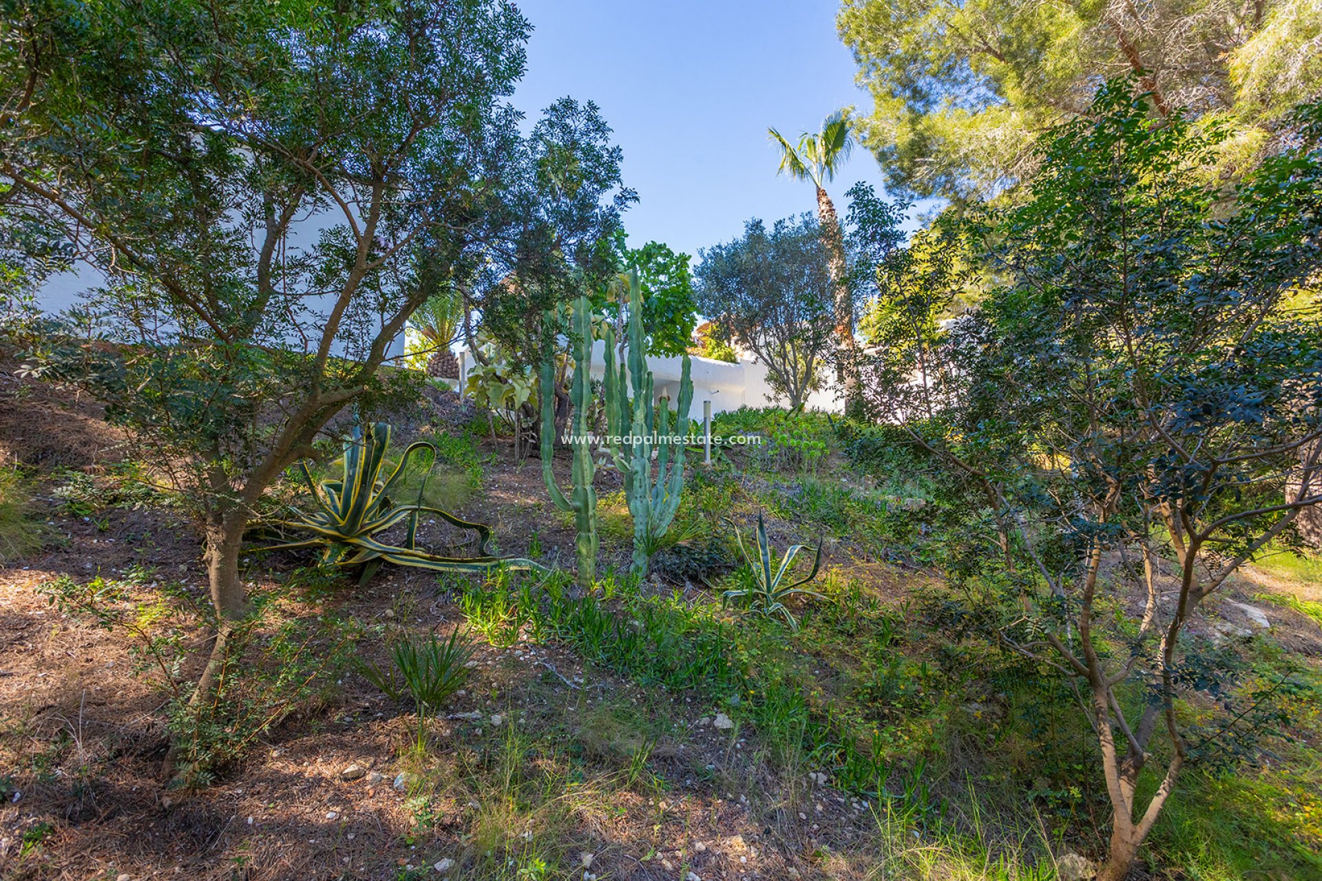 Revente - Villa -
Orihuela Costa - Inland