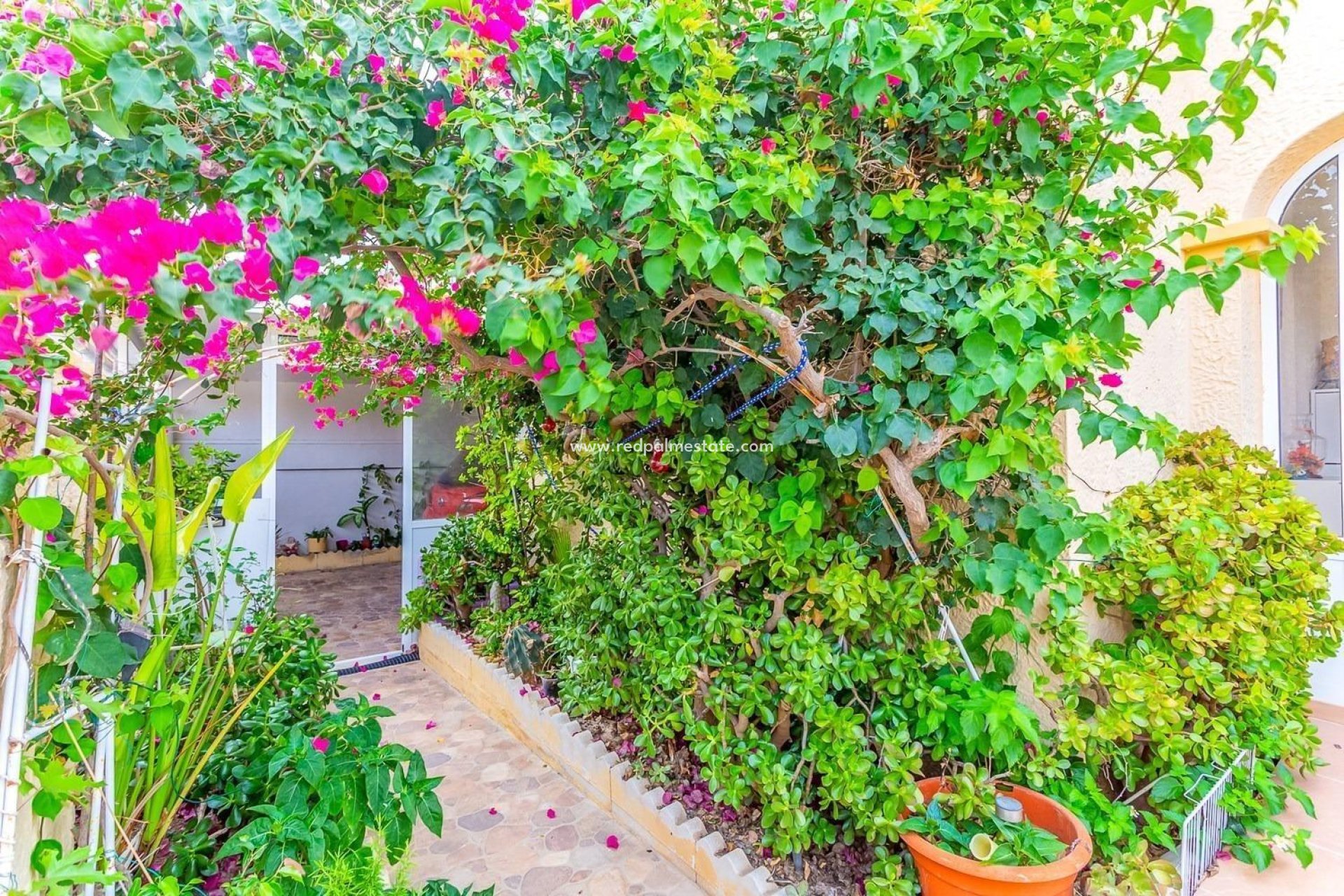 Revente - Villa -
Orihuela Costa - La Zenia