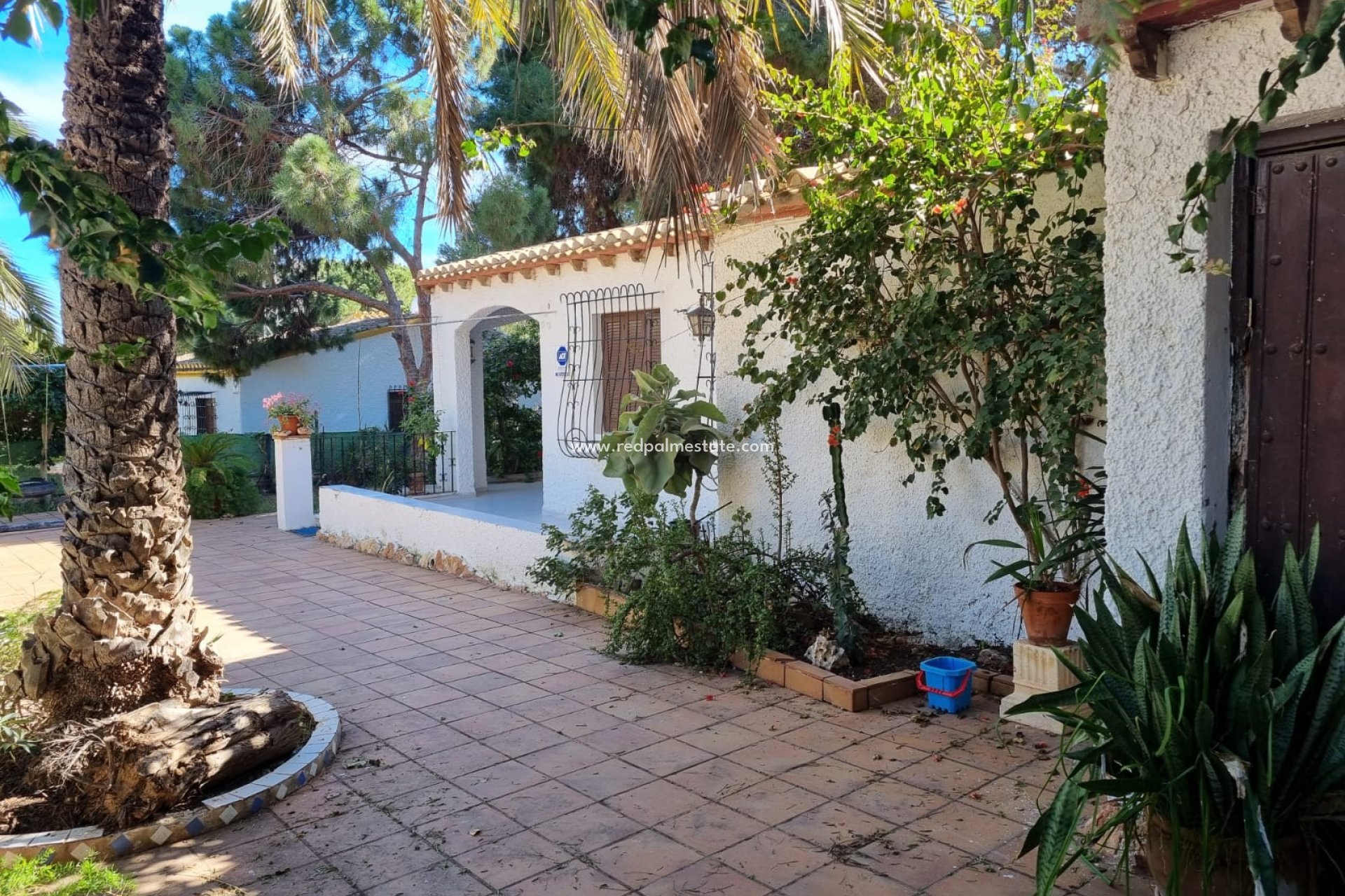 Revente - Villa -
Orihuela Costa - Punta prima