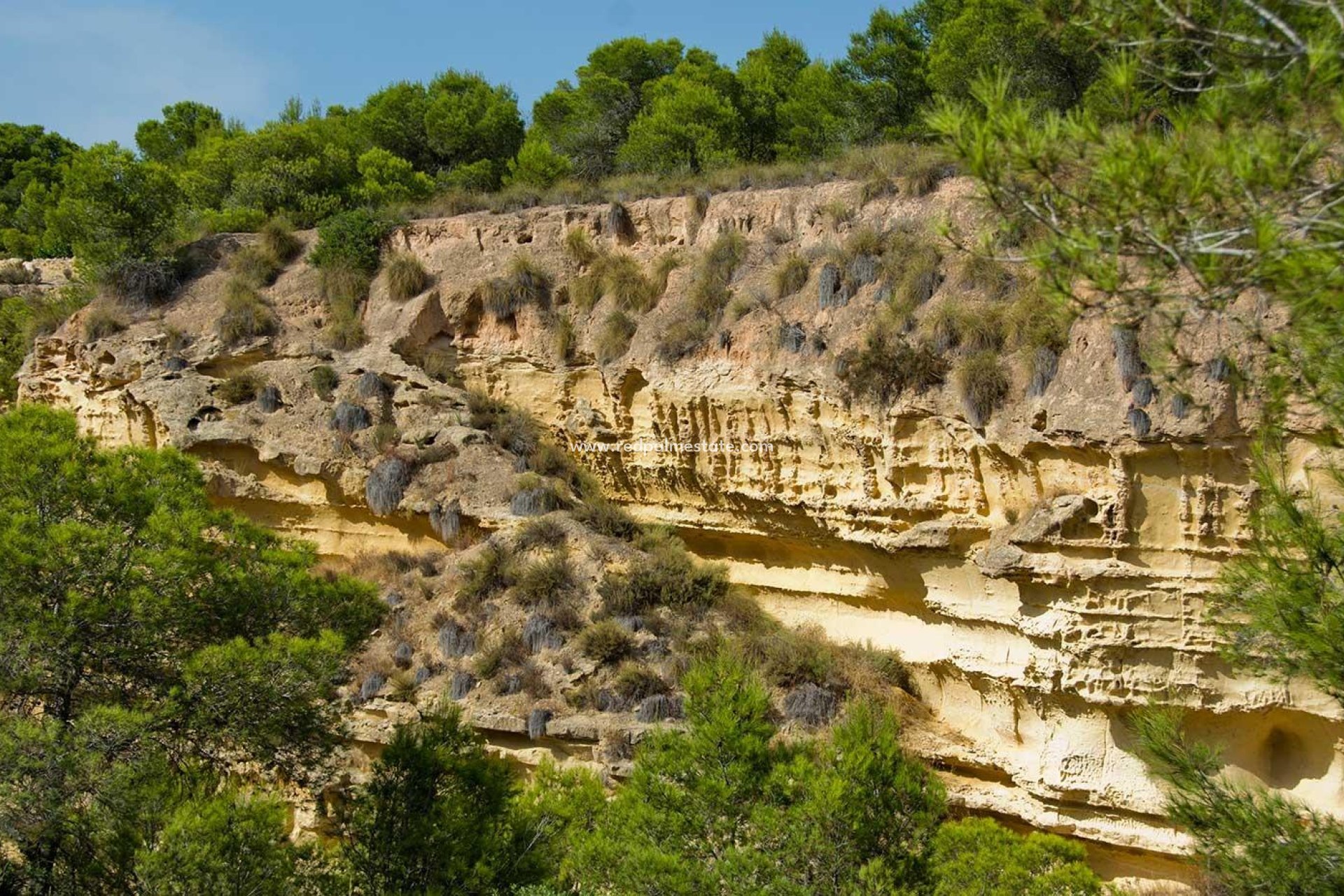 Revente - Villa -
Pilar de la Horadada - Pinar de Campoverde