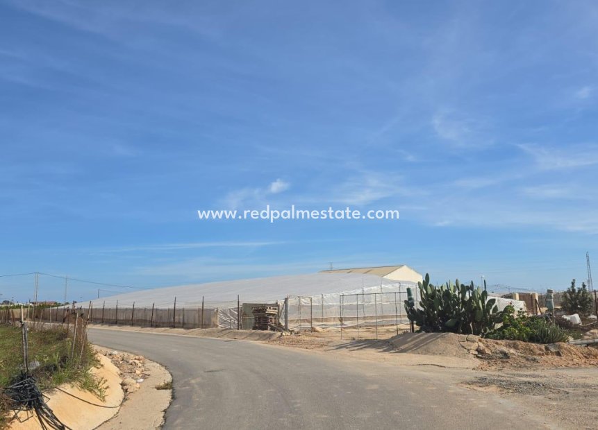 Revente - Villa -
Pilar de la Horadada