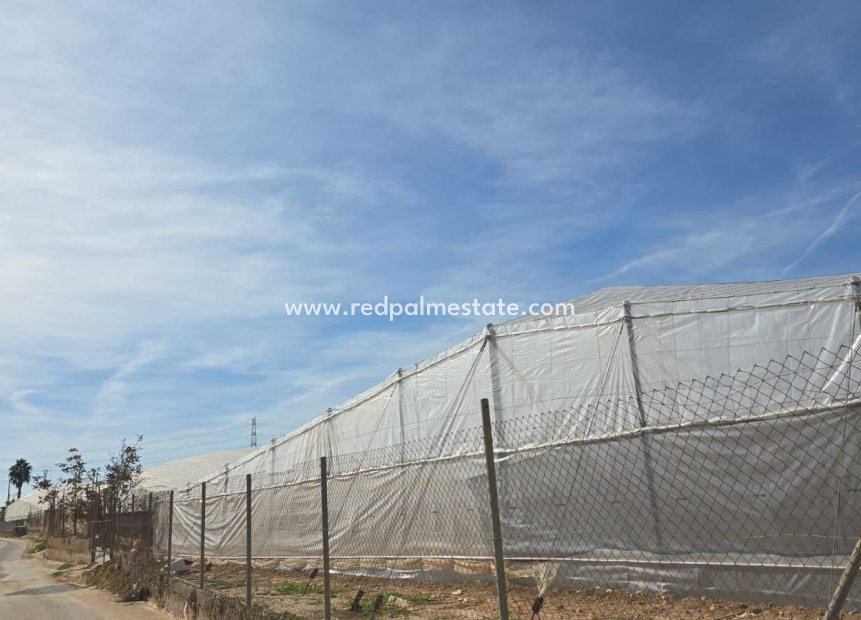 Revente - Villa -
Pilar de la Horadada